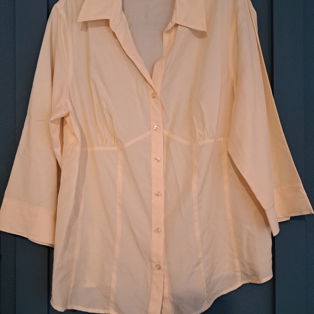 Dressbarn button down shirt. Light yellow and Corset style